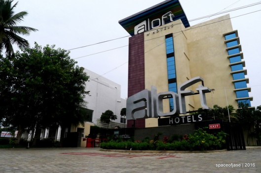 p1050786_zpspht8fmyv