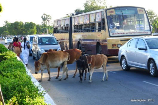 p1060287_zpsehahpgib